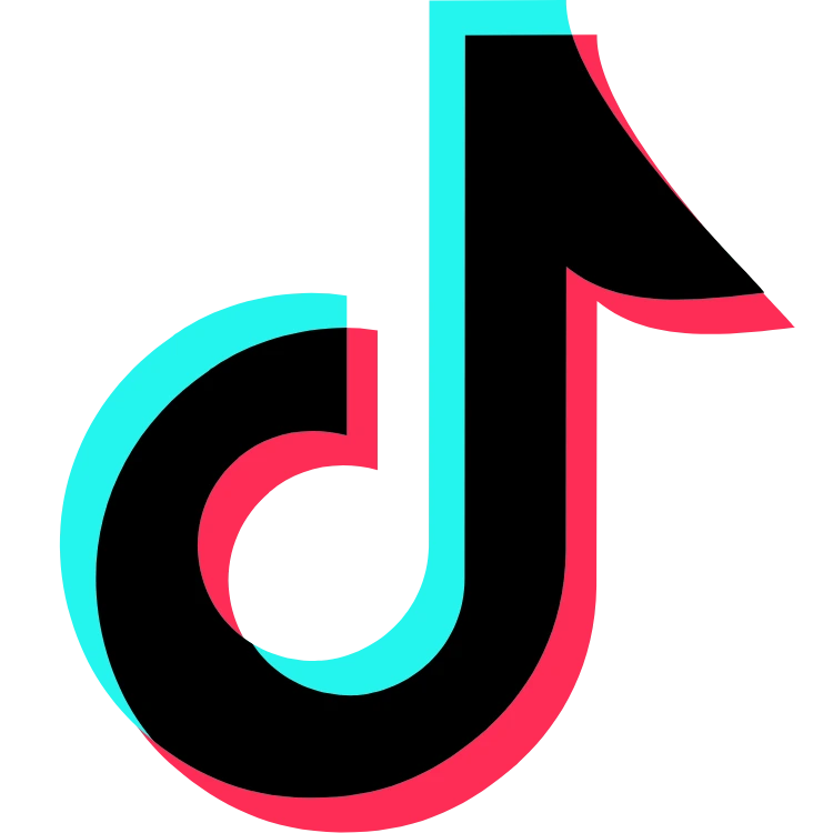 Tiktok Icon